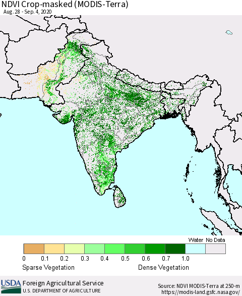 Southern Asia Cropland NDVI (Terra-MODIS) Thematic Map For 9/1/2020 - 9/10/2020