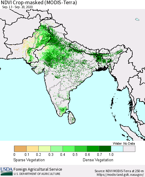 Southern Asia Cropland NDVI (Terra-MODIS) Thematic Map For 9/11/2020 - 9/20/2020