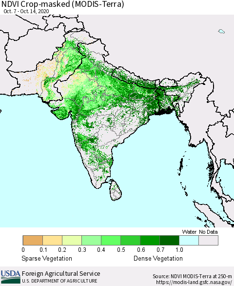 Southern Asia Cropland NDVI (Terra-MODIS) Thematic Map For 10/11/2020 - 10/20/2020