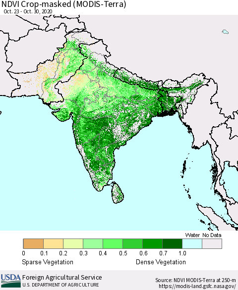 Southern Asia Cropland NDVI (Terra-MODIS) Thematic Map For 10/21/2020 - 10/31/2020