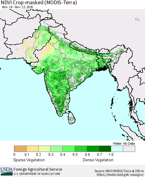 Southern Asia NDVI Crop-masked (MODIS-Terra) Thematic Map For 11/21/2020 - 11/30/2020