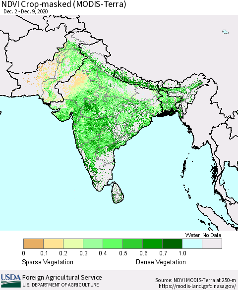 Southern Asia Cropland NDVI (Terra-MODIS) Thematic Map For 12/1/2020 - 12/10/2020