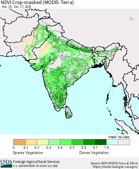 Southern Asia Cropland NDVI (Terra-MODIS) Thematic Map For 12/11/2020 - 12/20/2020