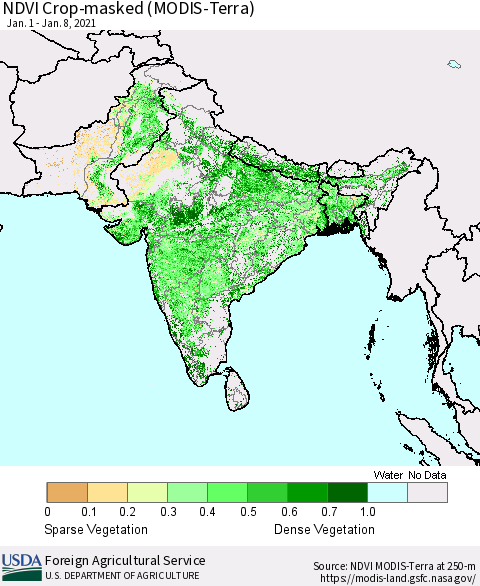 Southern Asia NDVI Crop-masked (MODIS-Terra) Thematic Map For 1/1/2021 - 1/10/2021