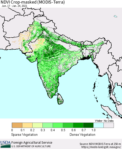 Southern Asia NDVI Crop-masked (MODIS-Terra) Thematic Map For 1/21/2021 - 1/31/2021