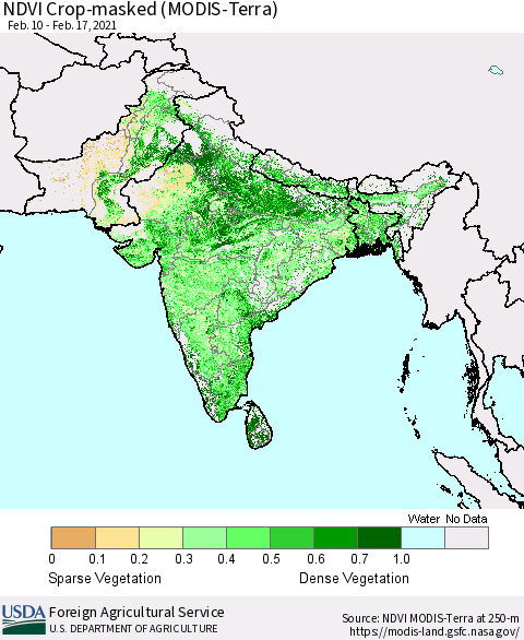 Southern Asia Cropland NDVI (Terra-MODIS) Thematic Map For 2/11/2021 - 2/20/2021