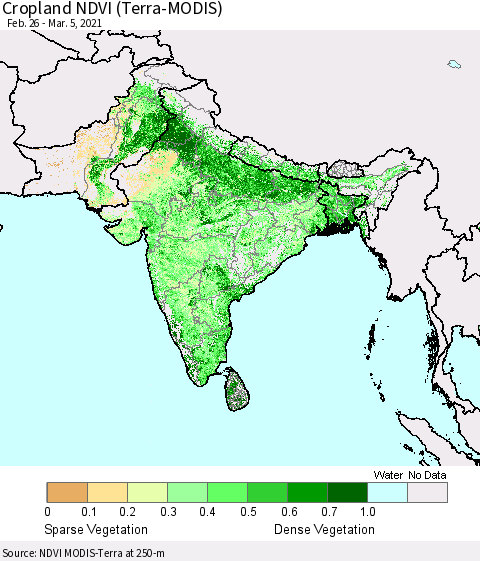 Southern Asia Cropland NDVI (Terra-MODIS) Thematic Map For 2/26/2021 - 3/5/2021