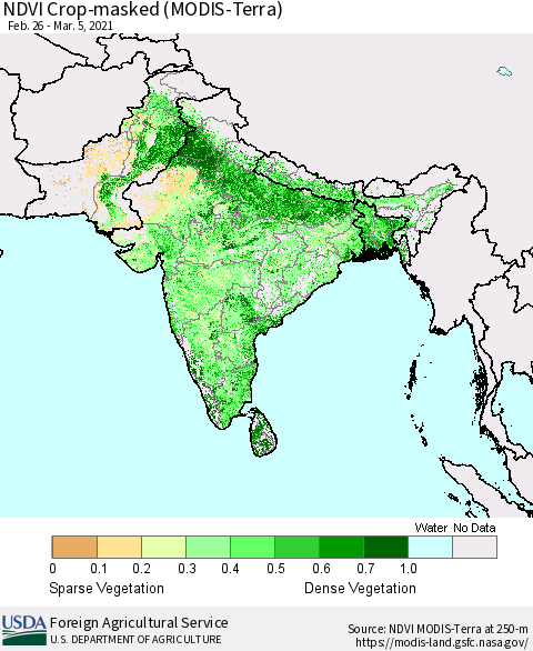 Southern Asia NDVI Crop-masked (MODIS-Terra) Thematic Map For 3/1/2021 - 3/10/2021