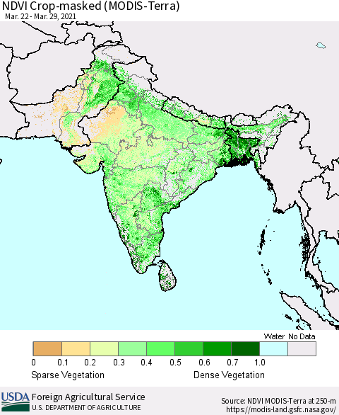 Southern Asia Cropland NDVI (Terra-MODIS) Thematic Map For 3/21/2021 - 3/31/2021