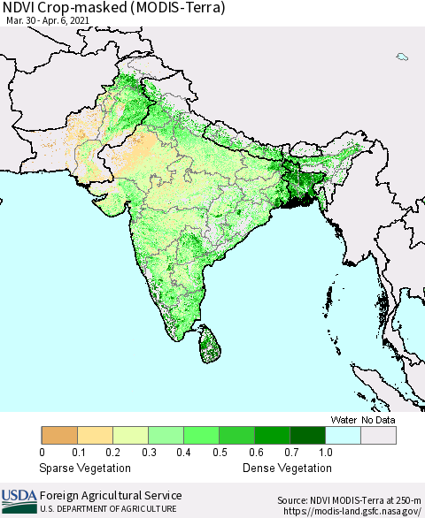 Southern Asia Cropland NDVI (Terra-MODIS) Thematic Map For 4/1/2021 - 4/10/2021