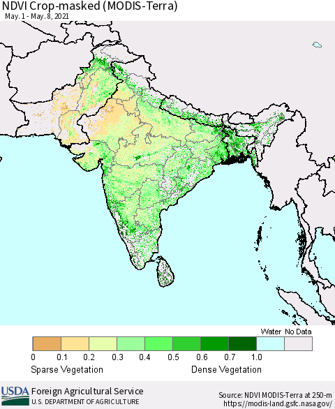 Southern Asia Cropland NDVI (Terra-MODIS) Thematic Map For 5/1/2021 - 5/10/2021