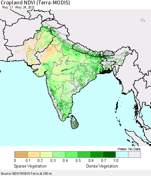 Southern Asia Cropland NDVI (Terra-MODIS) Thematic Map For 5/17/2021 - 5/24/2021