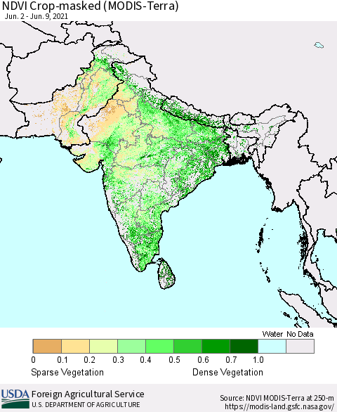 Southern Asia Cropland NDVI (Terra-MODIS) Thematic Map For 6/1/2021 - 6/10/2021