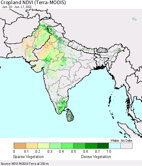 Southern Asia Cropland NDVI (Terra-MODIS) Thematic Map For 6/10/2021 - 6/17/2021