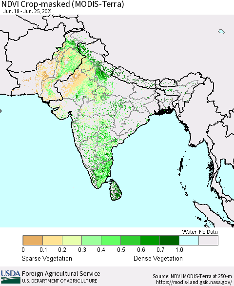 Southern Asia Cropland NDVI (Terra-MODIS) Thematic Map For 6/21/2021 - 6/30/2021