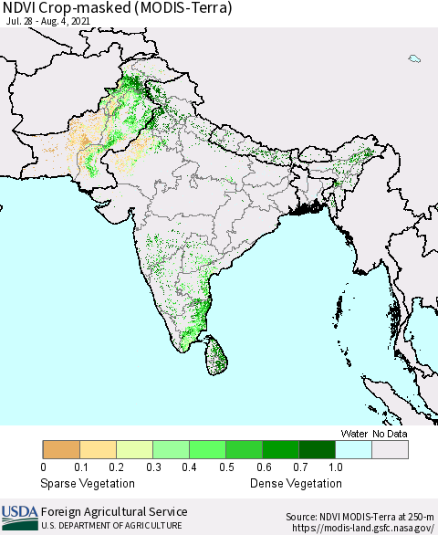 Southern Asia Cropland NDVI (Terra-MODIS) Thematic Map For 8/1/2021 - 8/10/2021