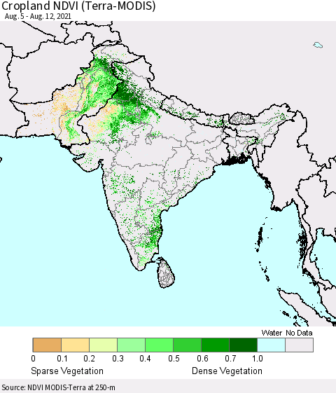 Southern Asia Cropland NDVI (Terra-MODIS) Thematic Map For 8/5/2021 - 8/12/2021