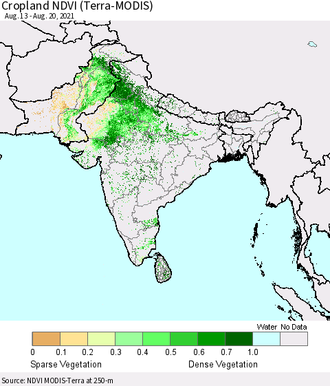 Southern Asia Cropland NDVI (Terra-MODIS) Thematic Map For 8/11/2021 - 8/20/2021