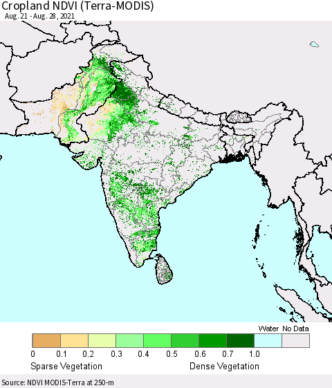Southern Asia Cropland NDVI (Terra-MODIS) Thematic Map For 8/21/2021 - 8/28/2021
