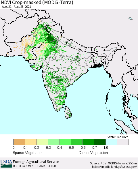 Southern Asia Cropland NDVI (Terra-MODIS) Thematic Map For 8/21/2021 - 8/31/2021