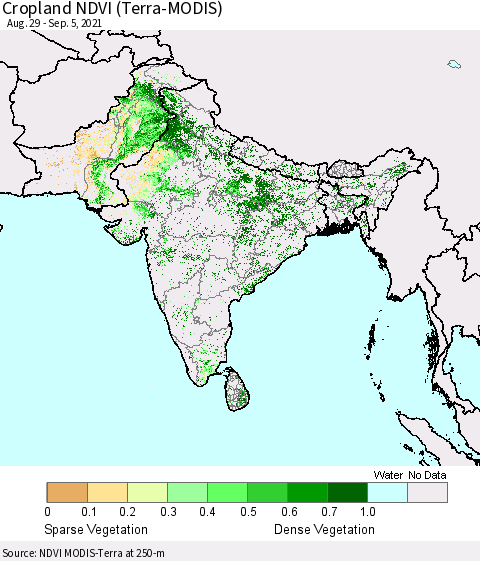 Southern Asia Cropland NDVI (Terra-MODIS) Thematic Map For 8/29/2021 - 9/5/2021