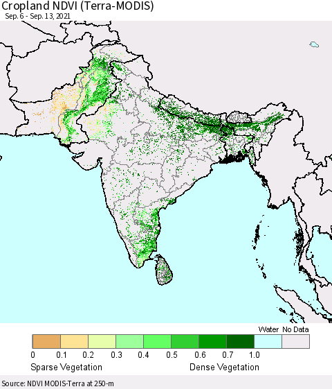 Southern Asia Cropland NDVI (Terra-MODIS) Thematic Map For 9/6/2021 - 9/13/2021