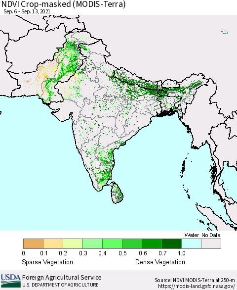 Southern Asia Cropland NDVI (Terra-MODIS) Thematic Map For 9/11/2021 - 9/20/2021