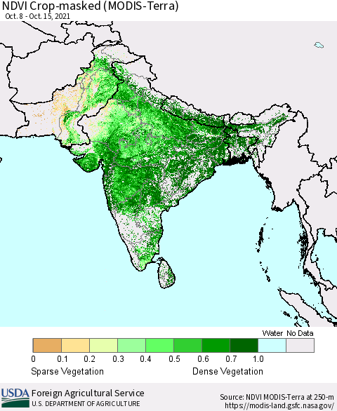 Southern Asia Cropland NDVI (Terra-MODIS) Thematic Map For 10/11/2021 - 10/20/2021