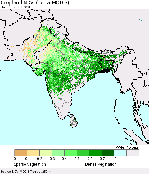 Southern Asia Cropland NDVI (Terra-MODIS) Thematic Map For 11/1/2021 - 11/8/2021