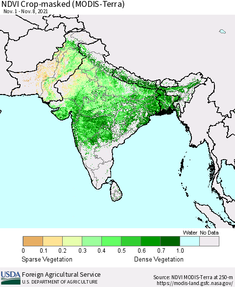 Southern Asia NDVI Crop-masked (MODIS-Terra) Thematic Map For 11/1/2021 - 11/10/2021