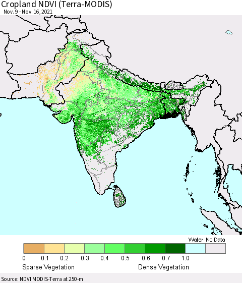 Southern Asia Cropland NDVI (Terra-MODIS) Thematic Map For 11/9/2021 - 11/16/2021