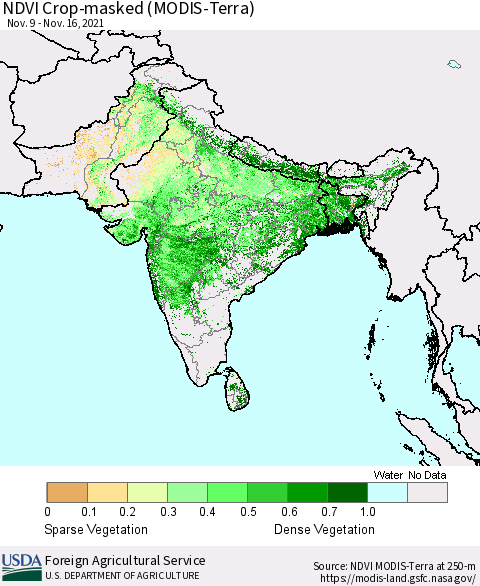 Southern Asia NDVI Crop-masked (MODIS-Terra) Thematic Map For 11/11/2021 - 11/20/2021