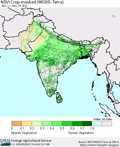 Southern Asia Cropland NDVI (Terra-MODIS) Thematic Map For 11/21/2021 - 11/30/2021