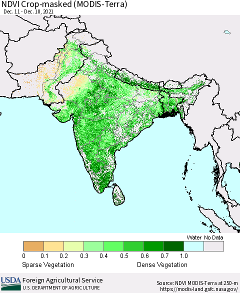 Southern Asia NDVI Crop-masked (MODIS-Terra) Thematic Map For 12/11/2021 - 12/20/2021