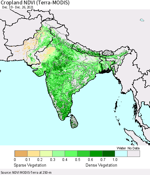 Southern Asia Cropland NDVI (Terra-MODIS) Thematic Map For 12/19/2021 - 12/26/2021