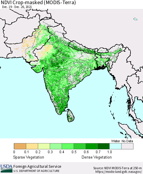 Southern Asia Cropland NDVI (Terra-MODIS) Thematic Map For 12/21/2021 - 12/31/2021