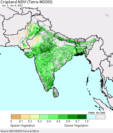 Southern Asia Cropland NDVI (Terra-MODIS) Thematic Map For 1/1/2022 - 1/8/2022
