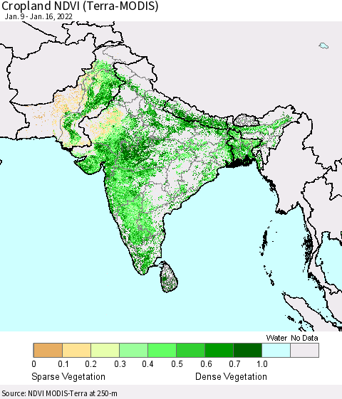 Southern Asia Cropland NDVI (Terra-MODIS) Thematic Map For 1/9/2022 - 1/16/2022