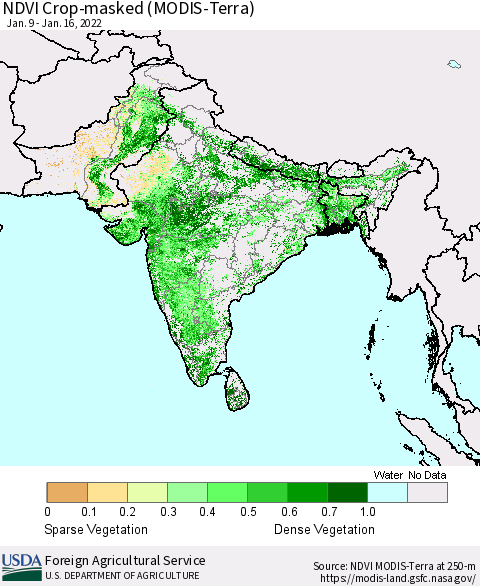 Southern Asia NDVI Crop-masked (MODIS-Terra) Thematic Map For 1/11/2022 - 1/20/2022
