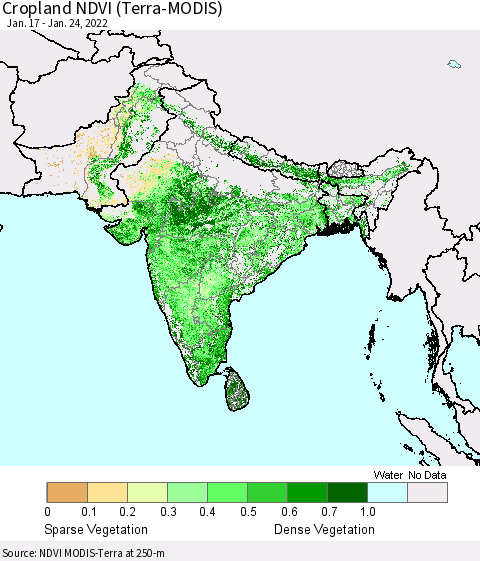 Southern Asia Cropland NDVI (Terra-MODIS) Thematic Map For 1/17/2022 - 1/24/2022