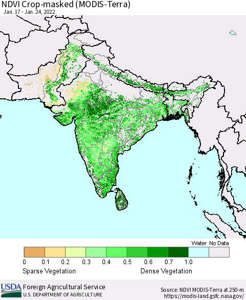 Southern Asia Cropland NDVI (Terra-MODIS) Thematic Map For 1/21/2022 - 1/31/2022