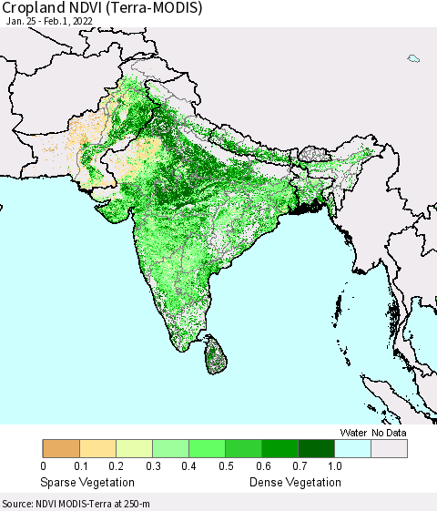 Southern Asia Cropland NDVI (Terra-MODIS) Thematic Map For 1/25/2022 - 2/1/2022