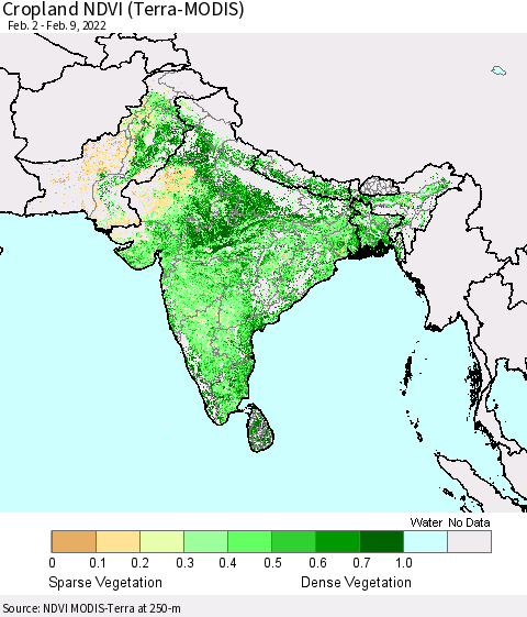 Southern Asia Cropland NDVI (Terra-MODIS) Thematic Map For 2/2/2022 - 2/9/2022