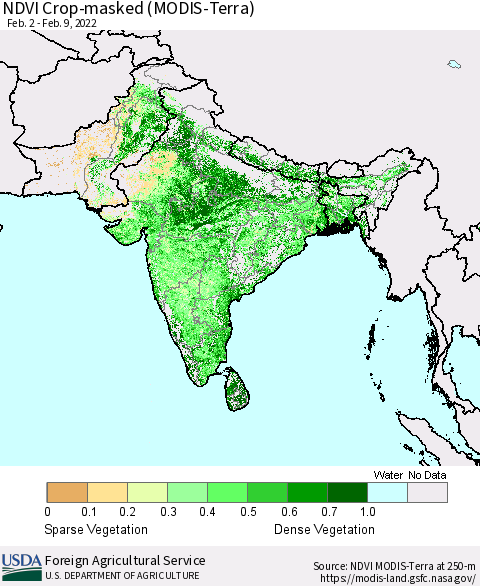 Southern Asia Cropland NDVI (Terra-MODIS) Thematic Map For 2/1/2022 - 2/10/2022