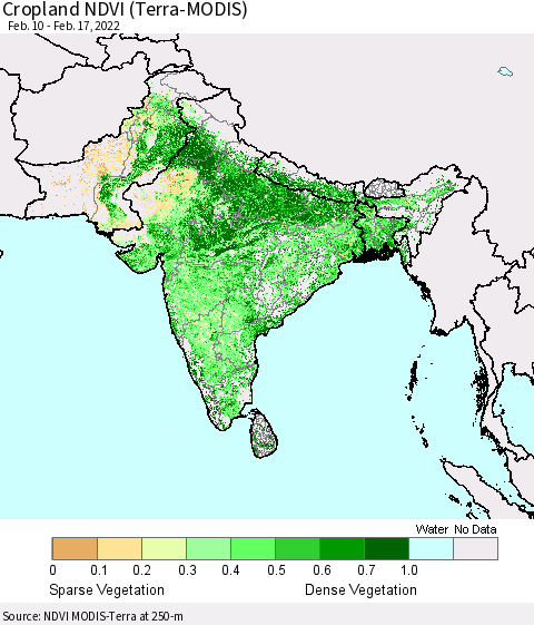 Southern Asia Cropland NDVI (Terra-MODIS) Thematic Map For 2/10/2022 - 2/17/2022