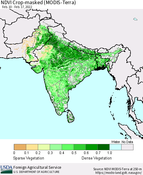 Southern Asia Cropland NDVI (Terra-MODIS) Thematic Map For 2/11/2022 - 2/20/2022