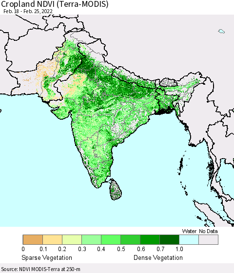Southern Asia Cropland NDVI (Terra-MODIS) Thematic Map For 2/18/2022 - 2/25/2022