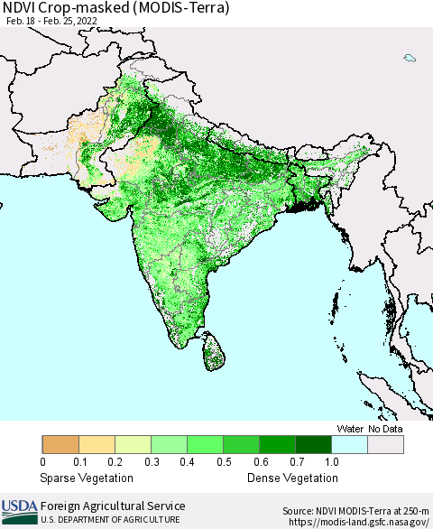 Southern Asia Cropland NDVI (Terra-MODIS) Thematic Map For 2/21/2022 - 2/28/2022