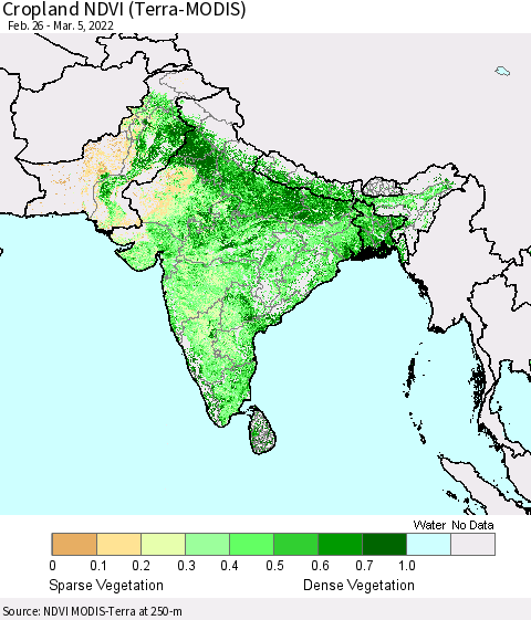Southern Asia Cropland NDVI (Terra-MODIS) Thematic Map For 2/26/2022 - 3/5/2022