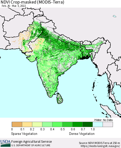 Southern Asia NDVI Crop-masked (MODIS-Terra) Thematic Map For 3/1/2022 - 3/10/2022
